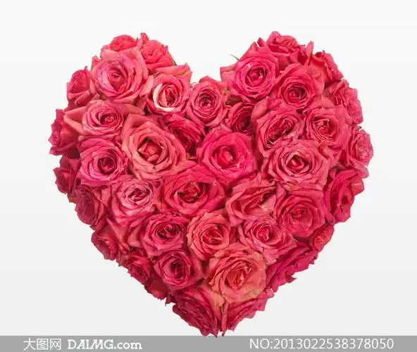 玫瑰花组成的心形图案摄影高清图片大图网设计素材下载