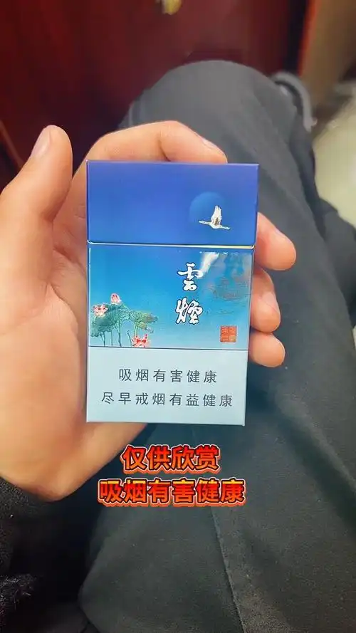 云烟高颜值高品质