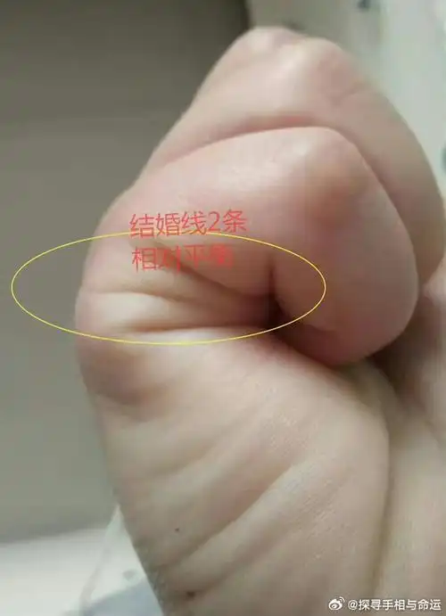 手相:天纹朝指事业稳,人纹双重才艺多左图,女士生肖羊,四指聚拢时