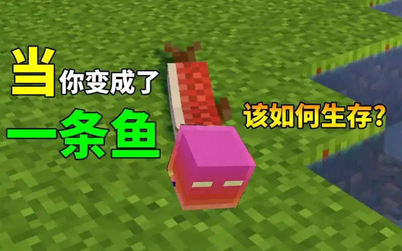 我的世界咸鱼生存我在海里当鱼的那些事