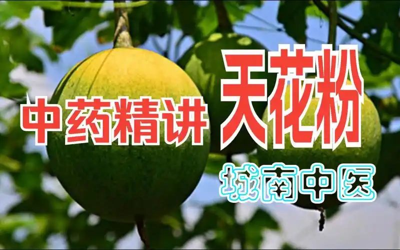 中药花粉的功效(花粉的功效与作用,中药花粉的神奇效果)