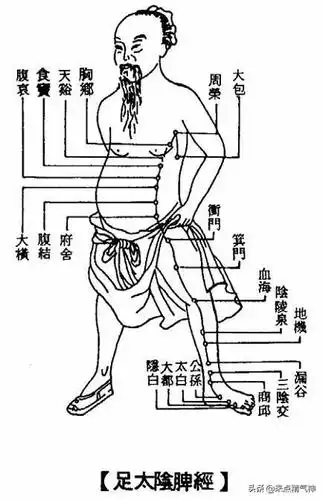 比如小腿内侧有肾经,脾经,肝经相交汇的三阴交穴,小腿外侧有属于足