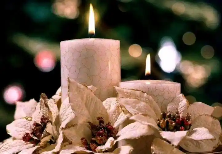 逝去的,虽消散,但记忆依旧存在 缅怀逝者 共寄哀思[小白菊][小白菊]