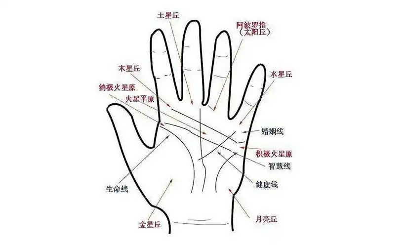 一般来说,男性以左手为主,右手为辅,女性以右手为主,左手为辅.