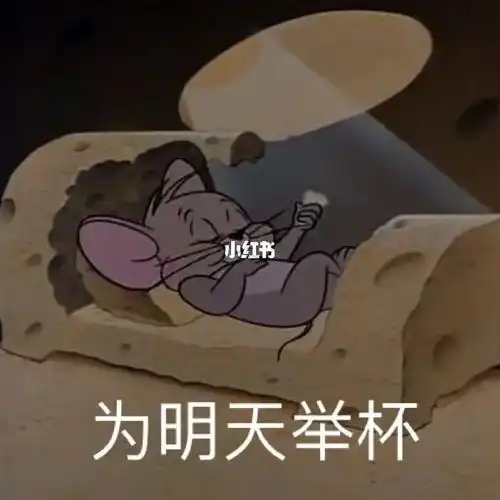 可爱表情包～为明天举杯9093