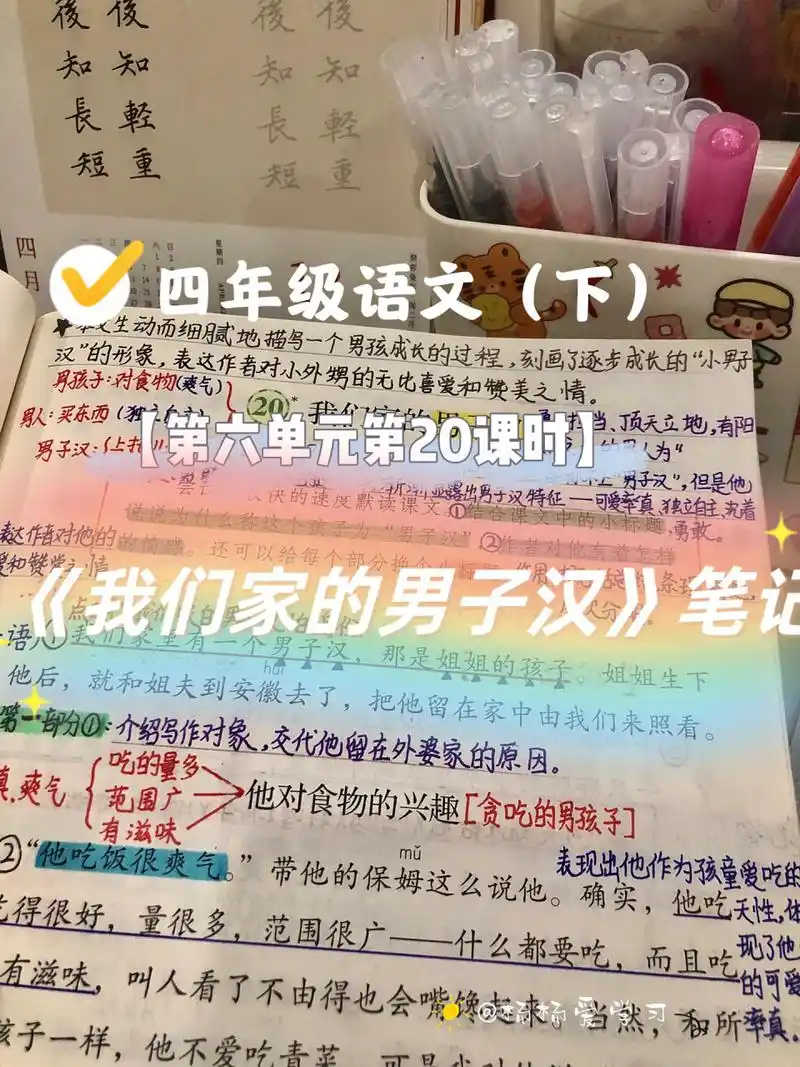 【四年级(下)】第六单元20课《我们家的男子汉 99本文生动而细腻地