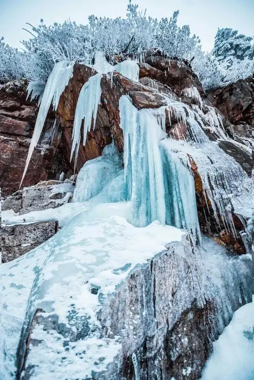 雅安【四人同】冰雪奇缘云海星空 雪中漫步约起来