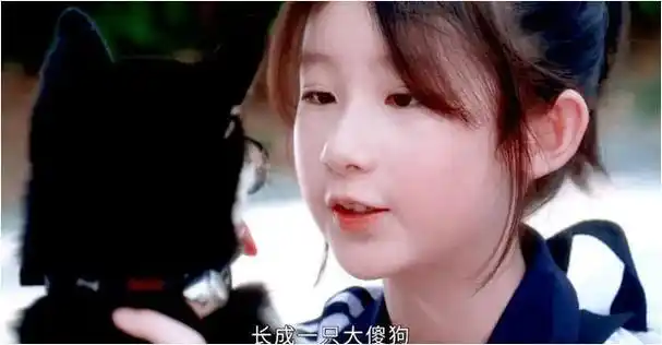 2部"竹已"改编剧同时播出,当我飞奔向你"超越"偷偷藏不住!