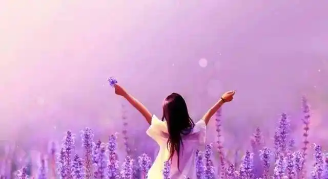 薰衣草庄园花期,寻最美爱情-在线订票-互动吧