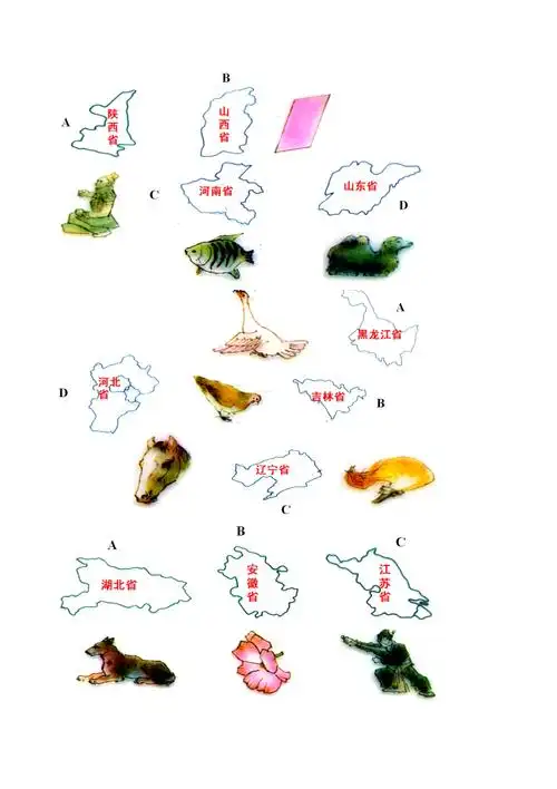 形象记忆省区轮廓4页