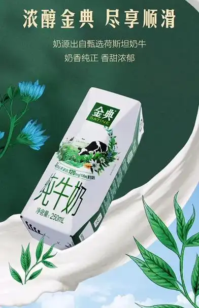 金典纯牛奶250ml16盒