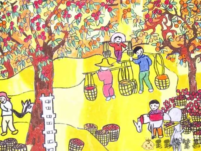 农田儿童画,丰收主题绘画 - 毛毛简笔画