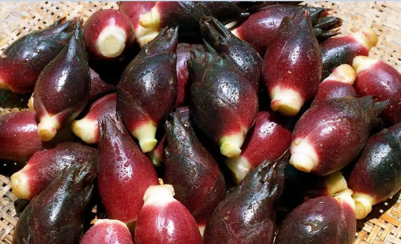 "第七大营养元素"——阳荷