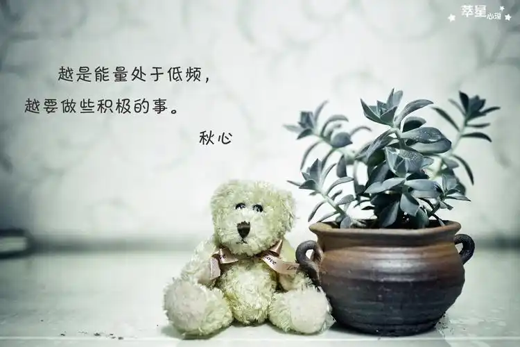 感情受打击,依然要热爱生活