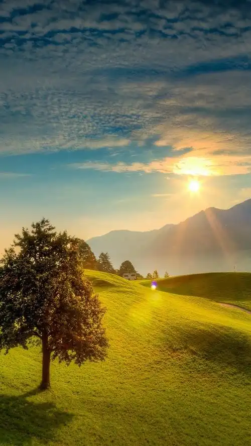 风景,日出,草原,唯美,手机壁纸草原风光图片好看手机壁纸