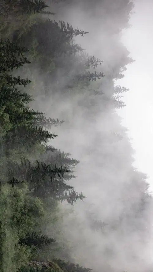 想看看大家qq音乐网易云音乐的背景图09