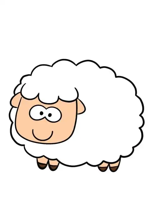 简笔画教程分享 小绵羊91