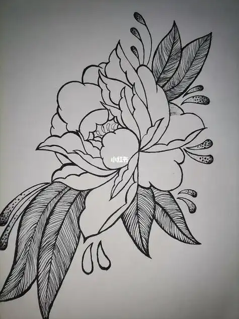 牡丹花绘画牡丹花绘画作品图片