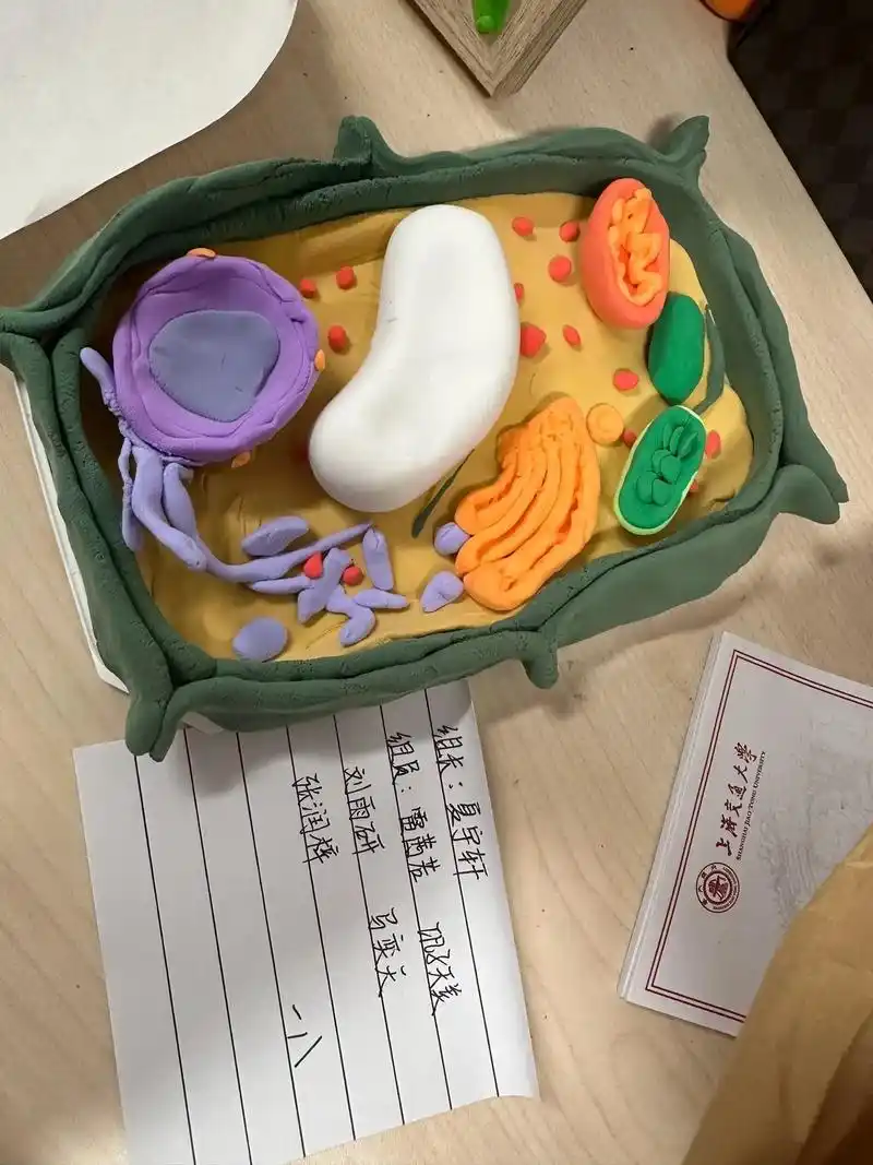 高一八班细胞结构模型#生物课 #做手工我是认真的 - 抖音