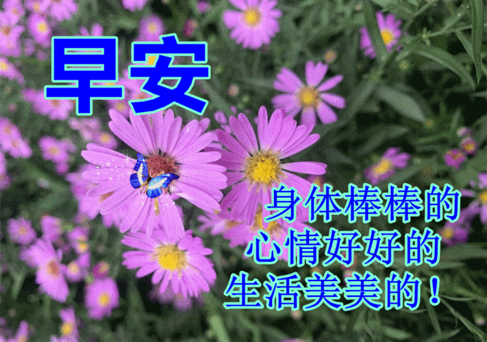 10月26日早上好动态表情图片大全,早晨好动图美图大全