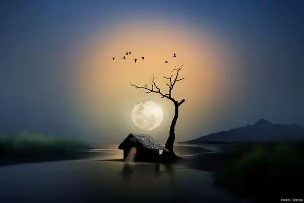 爱一个人和思念一个人哪个更痛苦?扎心了