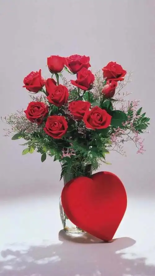 本文关键词:玫瑰图片唯美图片,玫瑰鲜花唯美图片,玫瑰花照片 唯美图片