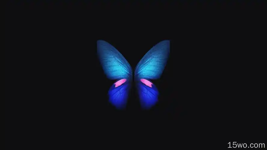 三星galaxy折叠股票壁纸