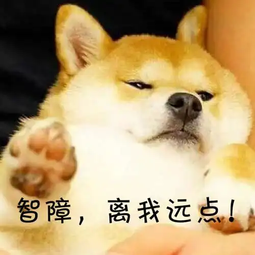 斗图表情包 - 金馆长表情库 - 真正的斗图网站 - pkdoutu.com