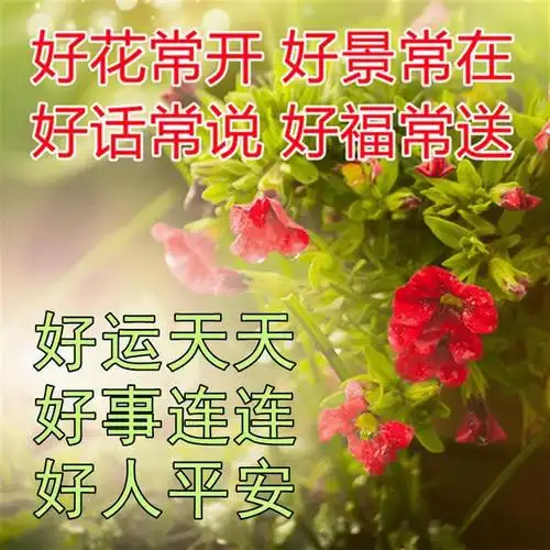 微信最真心的清晨阳光问候图片 微信群发清晨早安祝福语
