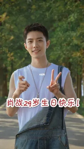 肖战29岁生日快乐