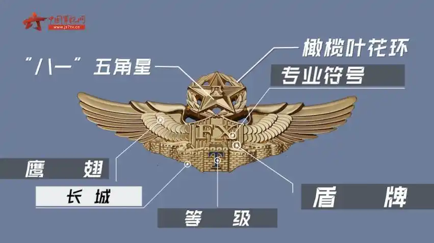 细节满满飞行员胸前的标识有哪些玄机