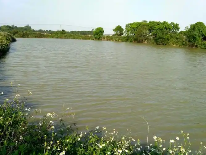 溪头班水域及鱼塘图片 - 美篇