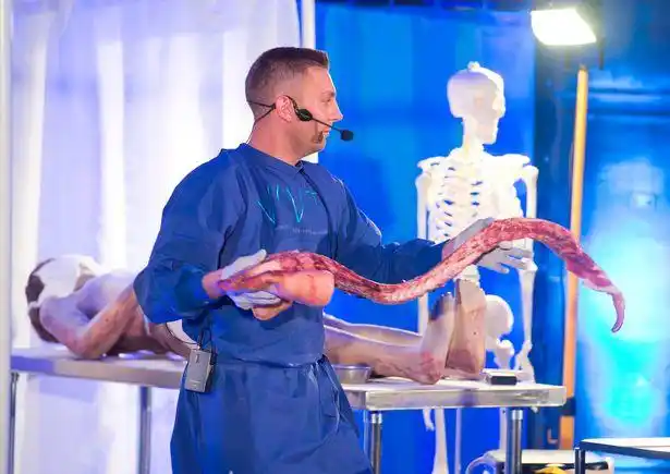 重口味英上演人体解剖秀边用晚餐边欣赏