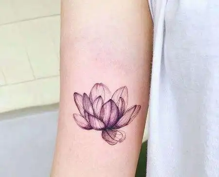 小清新大臂荷花纹身图案