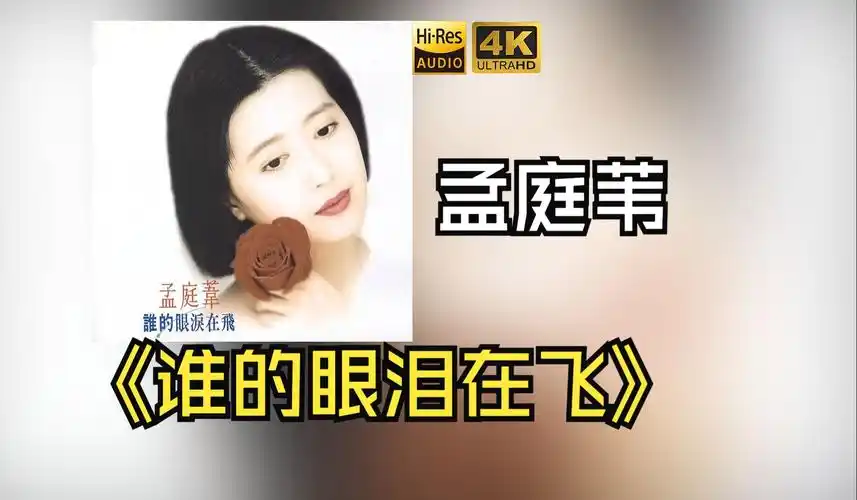 【hires无损】孟庭苇1993《谁的眼泪在飞》每天音乐专辑分享,站内最高