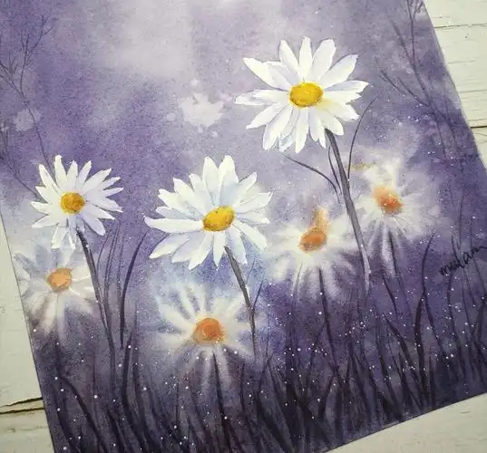 水彩 | 白色小雏菊