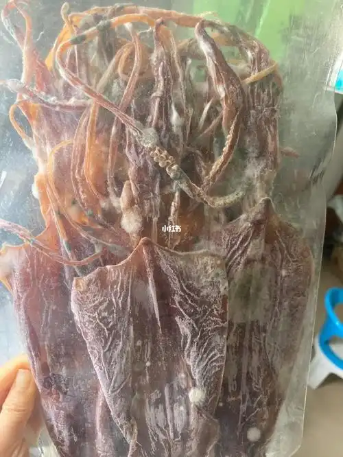 这发霉鱿鱼还能吃吗?本不富裕的日子雪上加霜了01