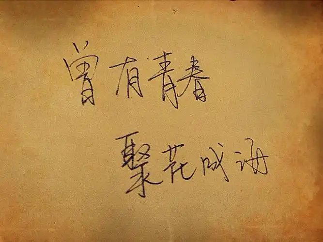 文字 手写 青春