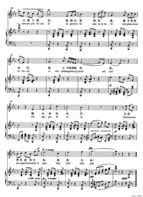 [意]悲叹的小夜曲(正谱)