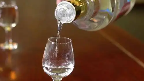 一杯酒的生活美学