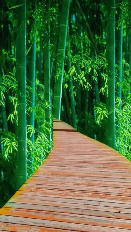 背景素材 人间烟火,竹林小路,无一是你,无一不是你!#唯美意境