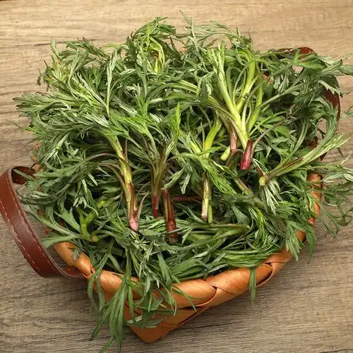 长白山野生柳蒿新鲜现挖水蒿500克顺丰限区包邮叶菜类