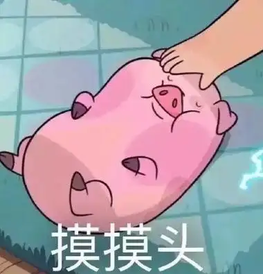 摸摸头 - 斗图大会 - 小红猪表情库 - 真正的斗图网站 - dou.