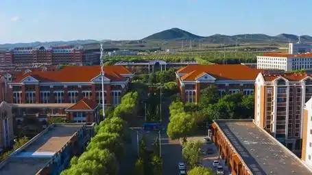 辽宁中医药大学就业率怎么样