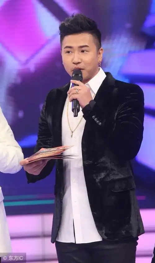 各大卫视综艺节目主持人排行榜