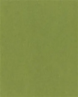 浅绿色背景图-浅绿色背景图高清-浅绿色背景图素材下载