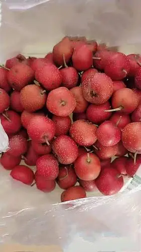 这个年货采购,父亲让我买一些山楂