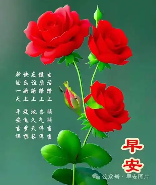 2024年1月15日早安暖心问候语图片早安温馨的问候祝福语大全新周愉快