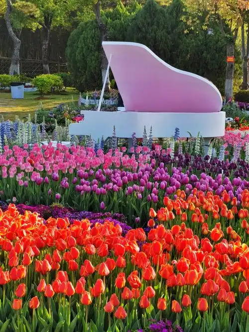 厦门园博苑郁金香花展
