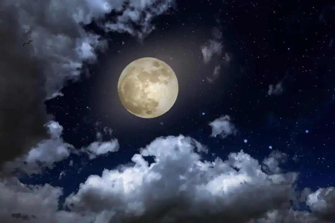 十五的月亮十五圆今年最大一轮满月好好欣赏了吗